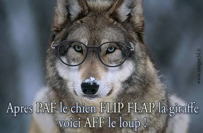 aff leloup