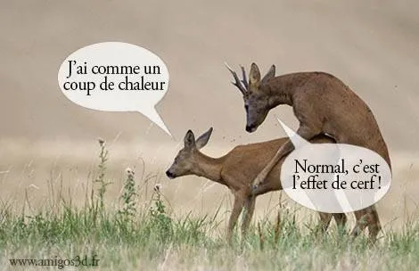 chaleur