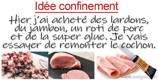 cochon
