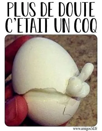coq
