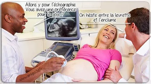 echographie