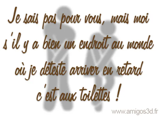 toilette2