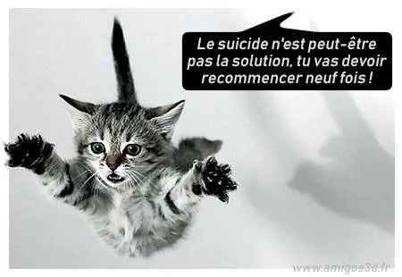 viedechat2