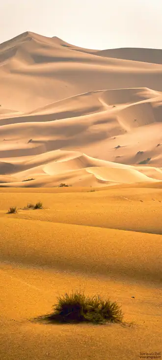 Cliquer pour voir Dunes en grand !
