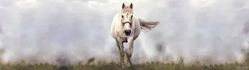 Cliquer pour voir Whitehorse en grand !